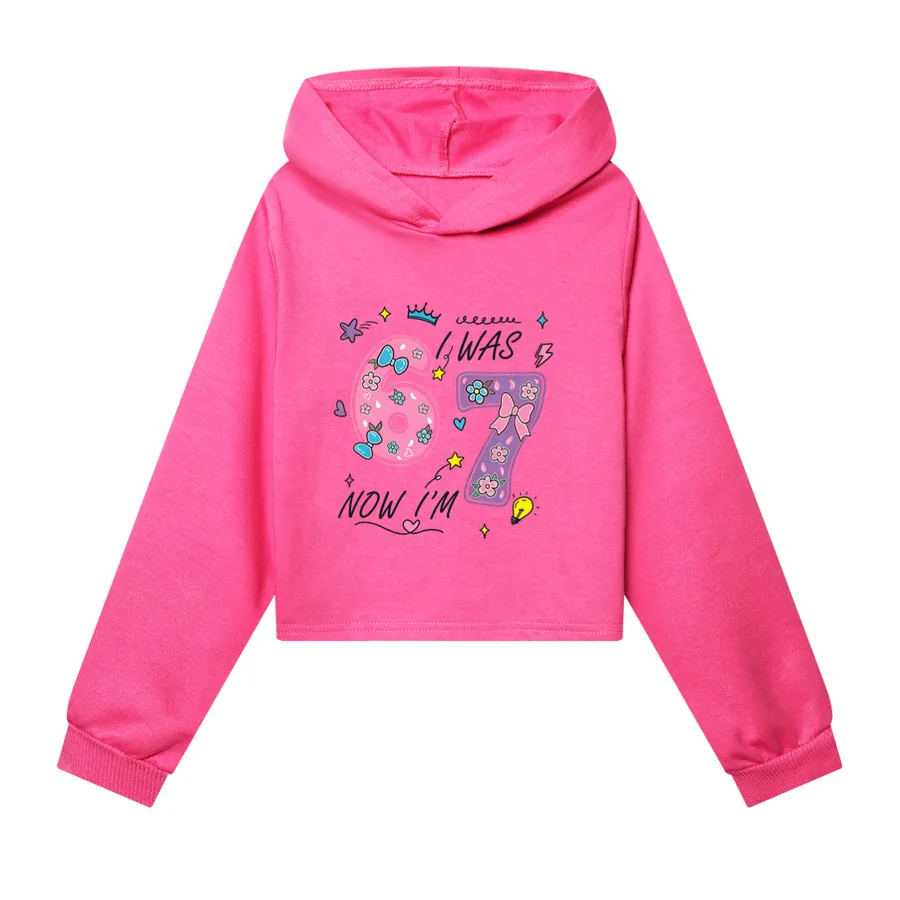 Cropped Hoodie Set, Style 09 · Rose