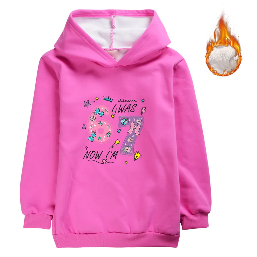 Warm-Lined Graphic Hoodie, Style 11 · Rose