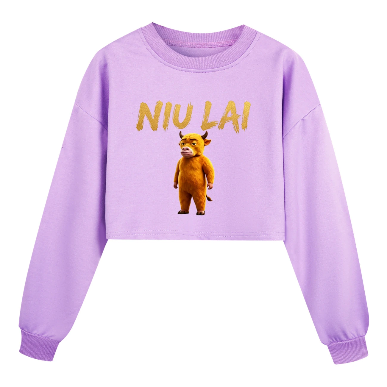 Cropped Sweatshirt Play Set — 5813 Edition, clean product view
