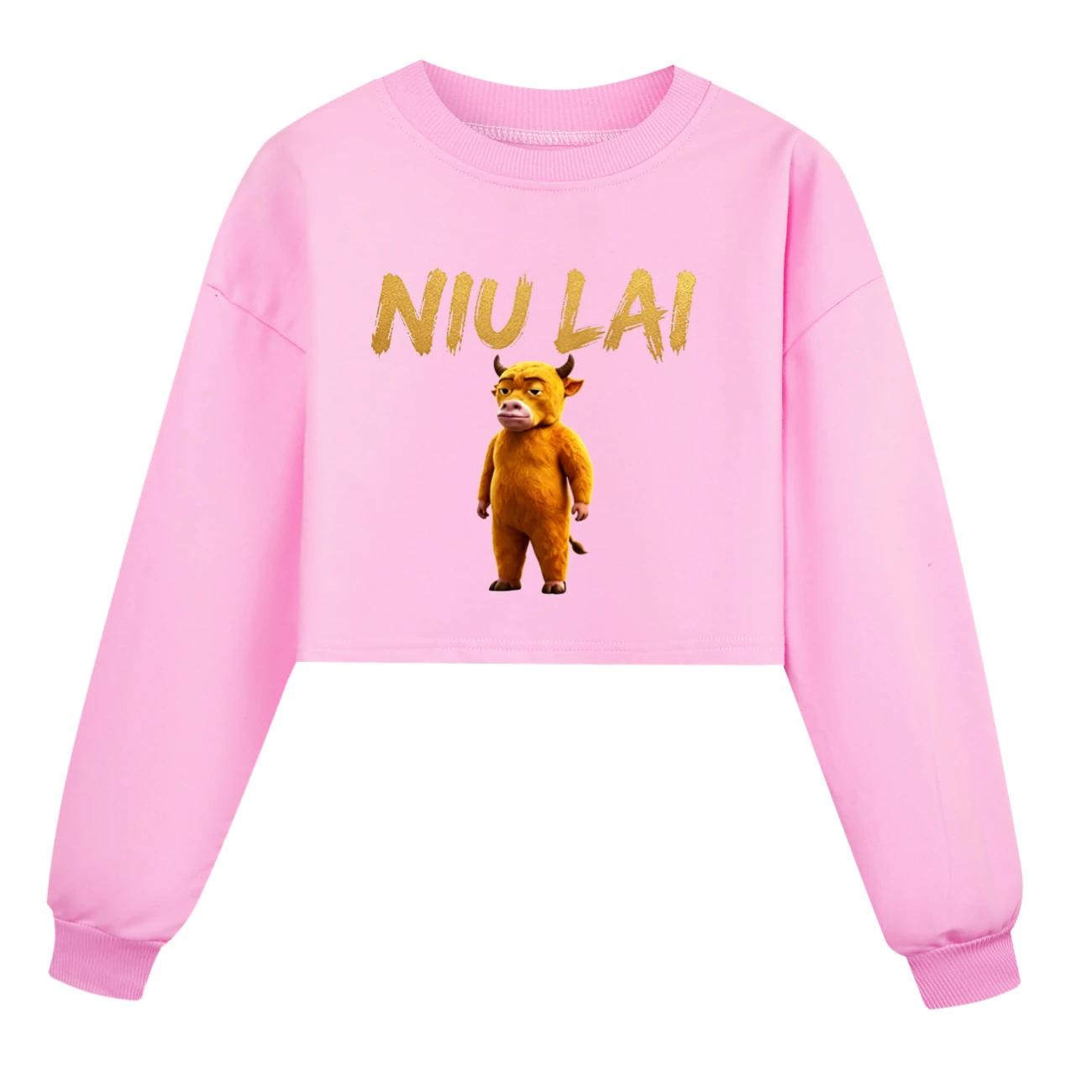 Cropped Sweatshirt Play Set — 5813 Edition, Style 05 · Pink