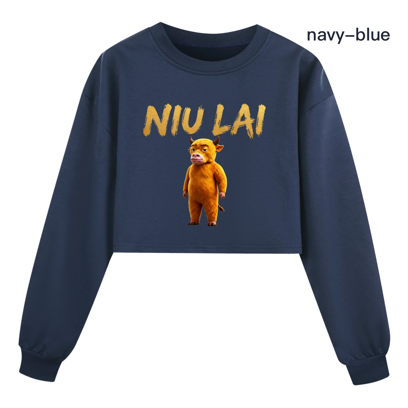 Cropped Sweatshirt Play Set — 5813 Edition, Style 06 · Navy