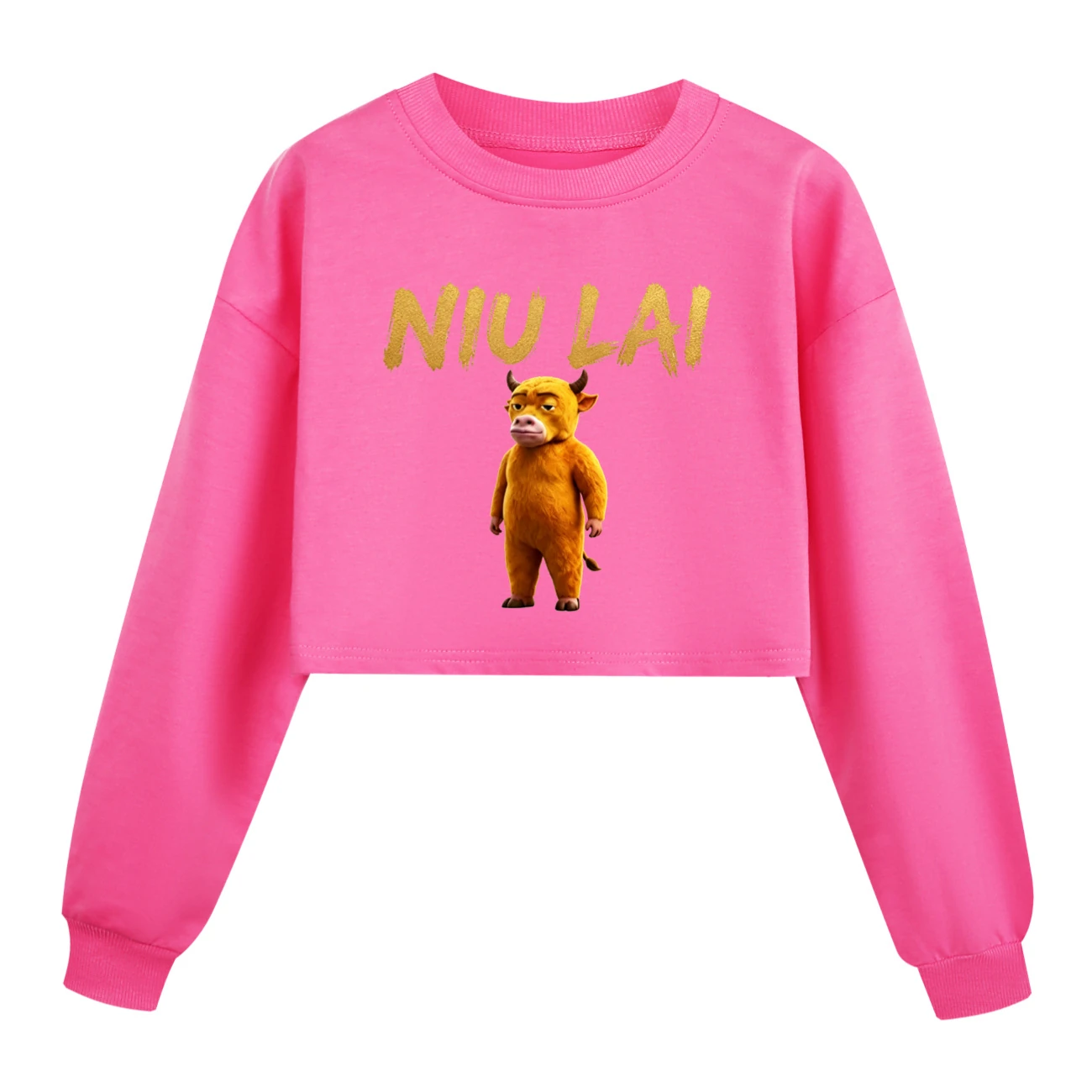 Cropped Sweatshirt Play Set — 5813 Edition, Style 07 · Rose