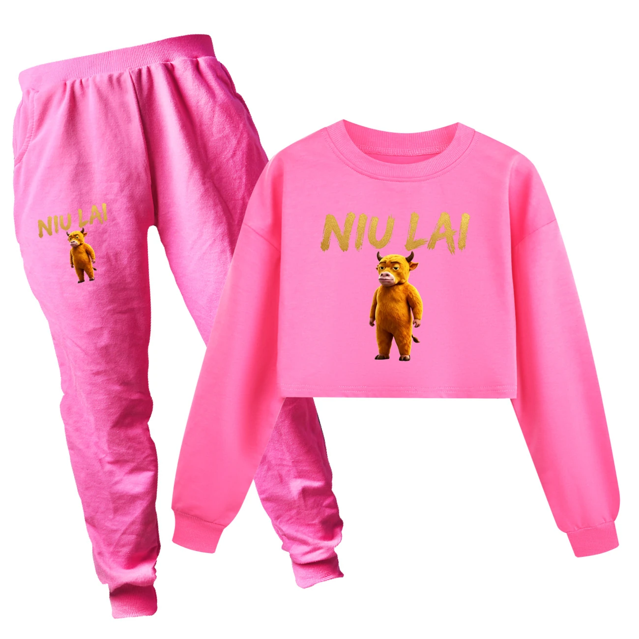 Cropped Sweatshirt Play Set — 5813 Edition, Style 09 · Set · Rose