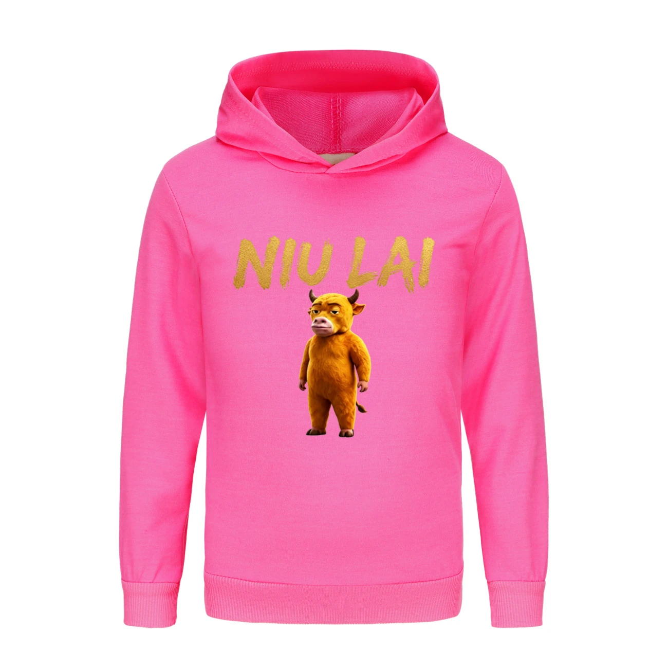 Classic Hoodie & Jogger Set — 5813 Edition, Style 11 · Rose