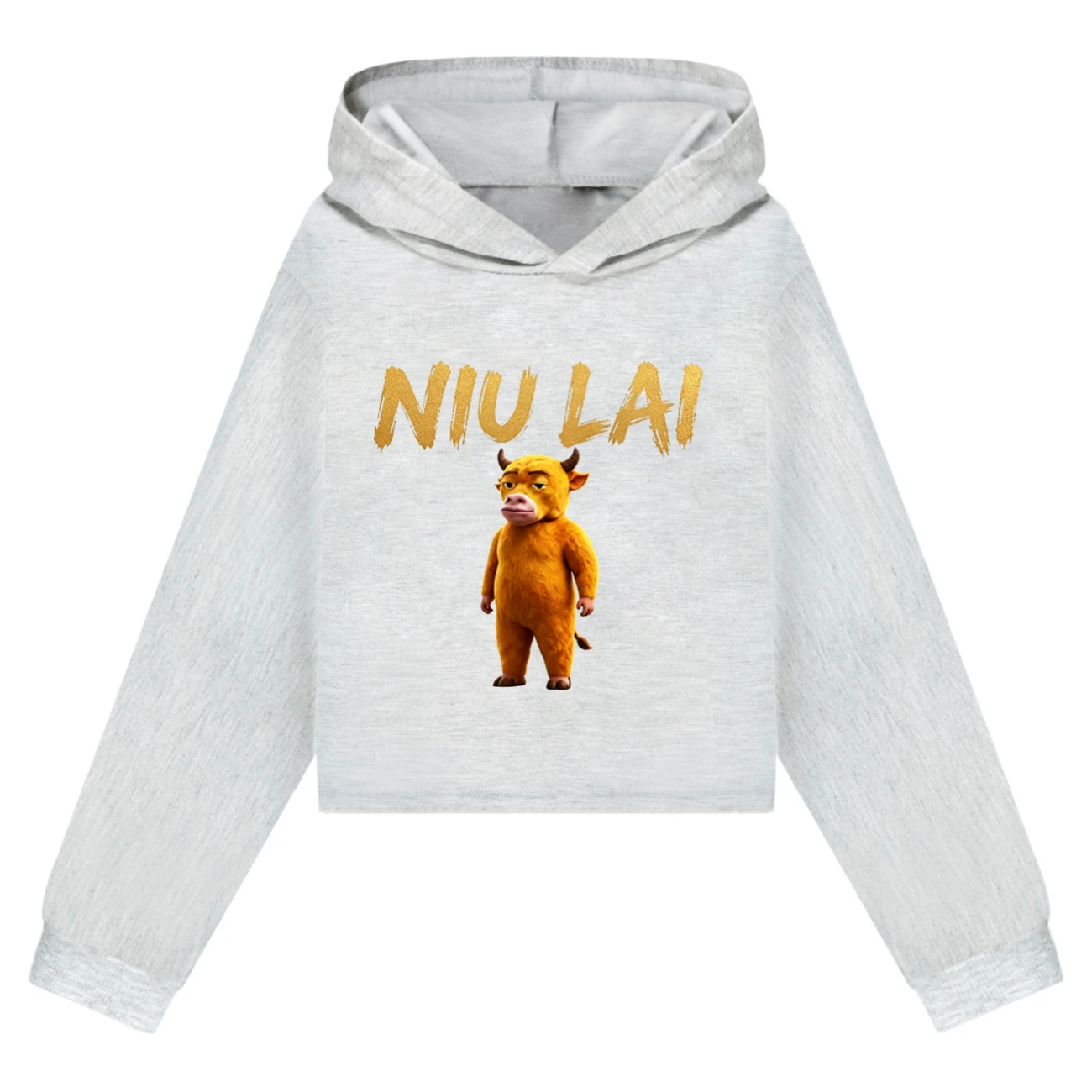 Cropped Hoodie Set — 5813 Edition, Style 03 · Grey