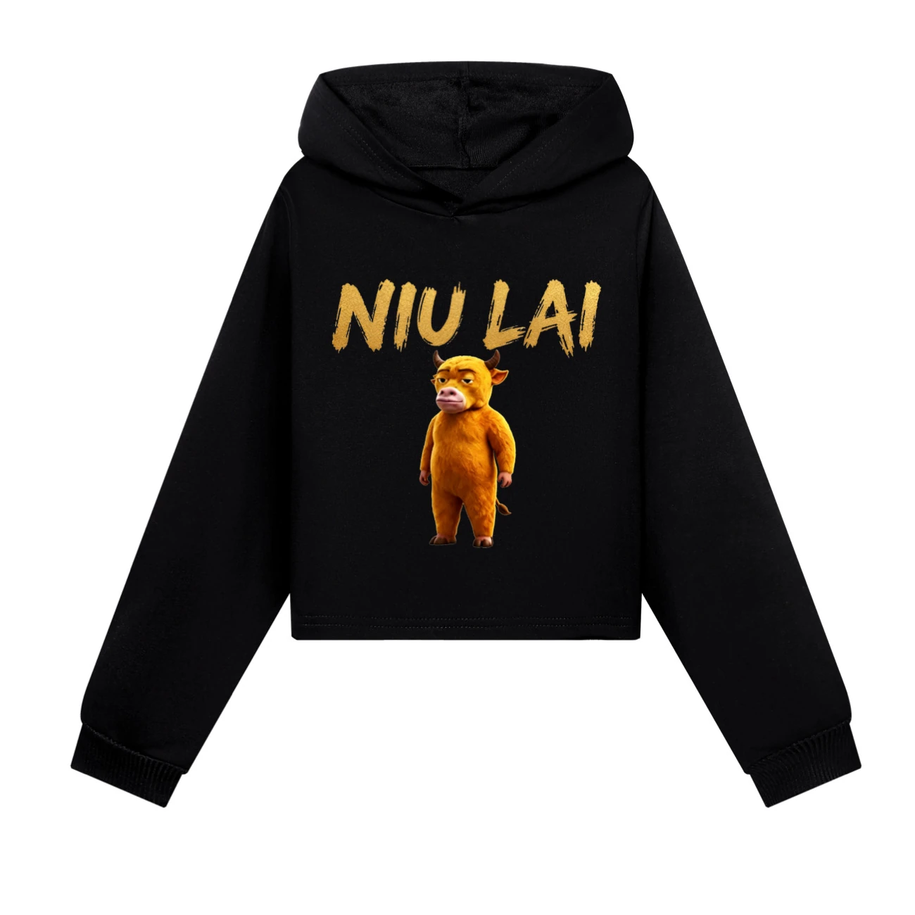 Cropped Hoodie Set — 5813 Edition, Style 06 · Black