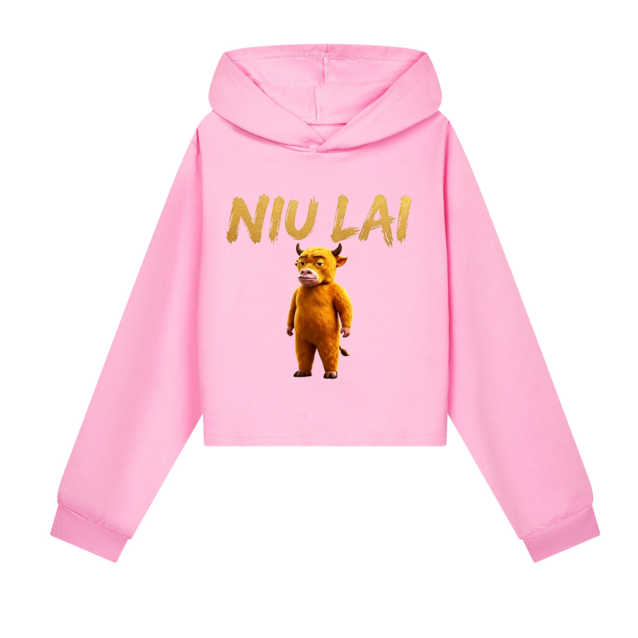 Cropped Hoodie Set — 5813 Edition, Style 07 · Pink