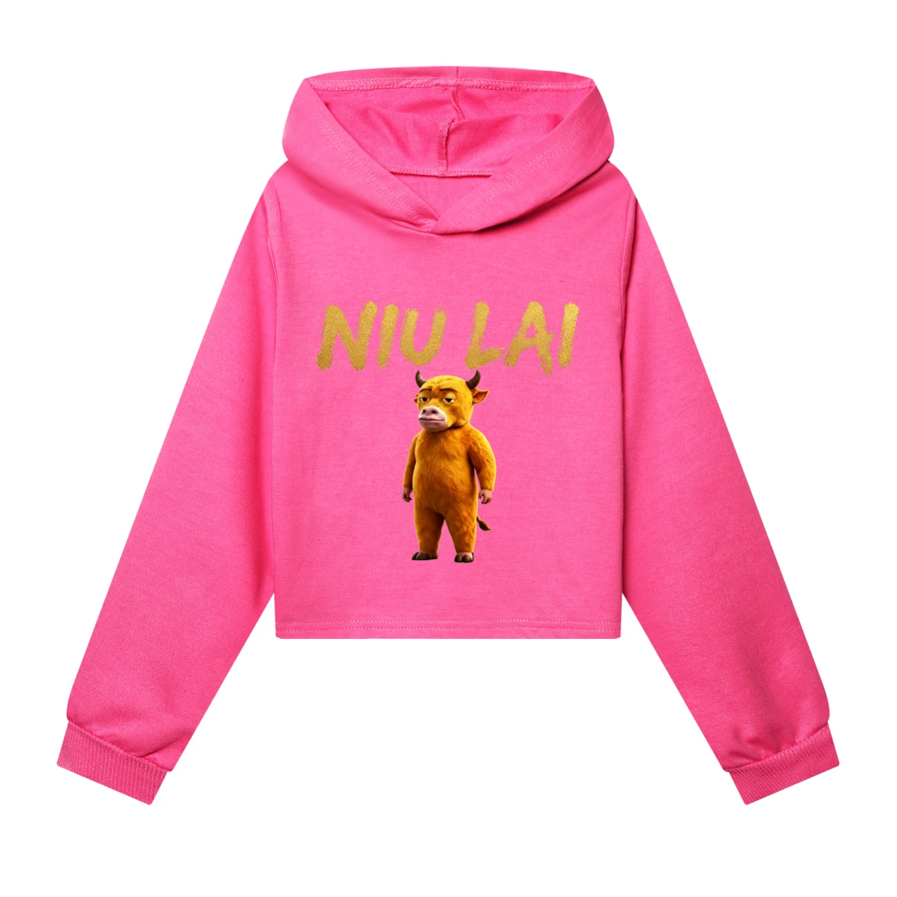 Cropped Hoodie Set — 5813 Edition, Style 09 · Rose